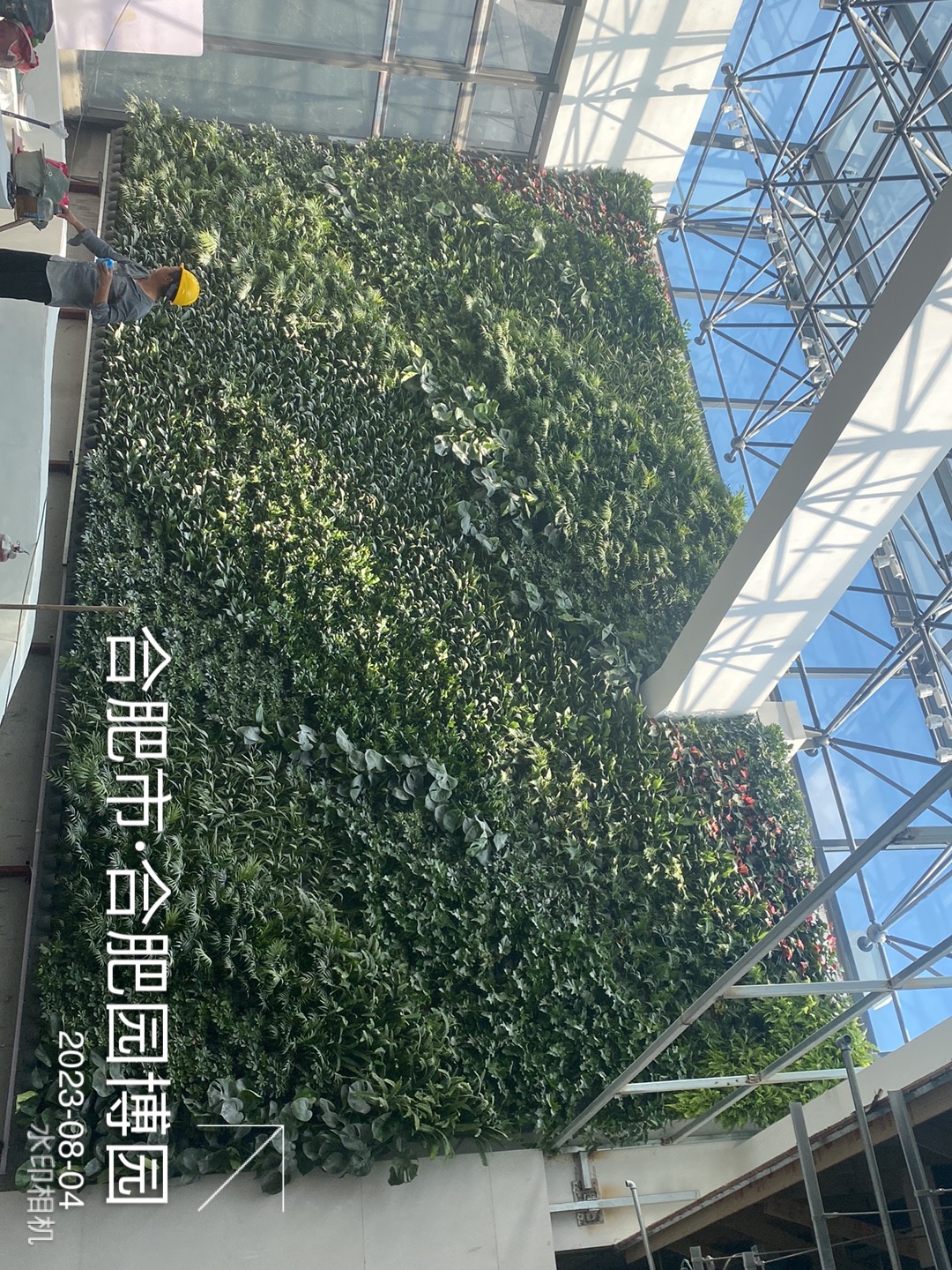 微信图片_20230804090910.jpg