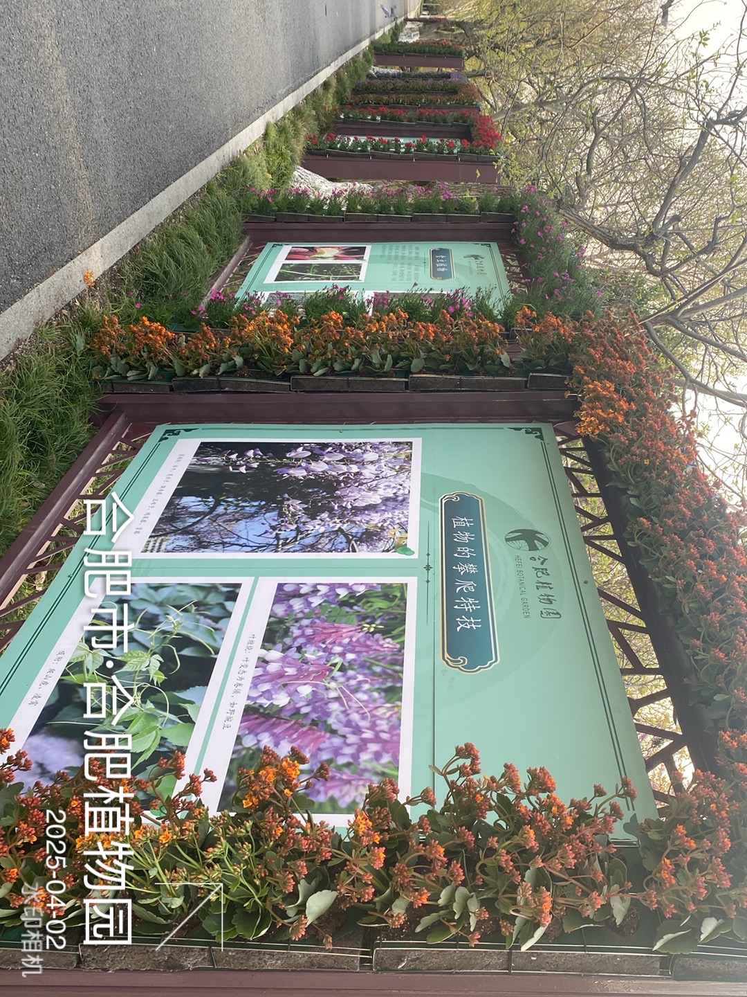 微信图片_20250411141956.jpg
