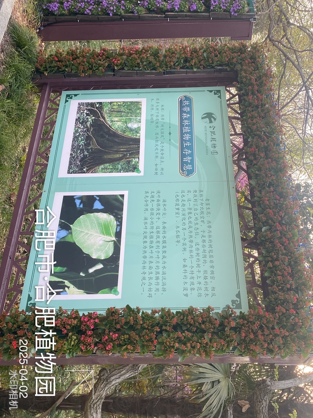 微信图片_20250411141936.jpg